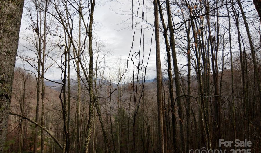 Jacks Knob Road, Barnardsville, NC 28709 - 0 Beds, 0 Bath