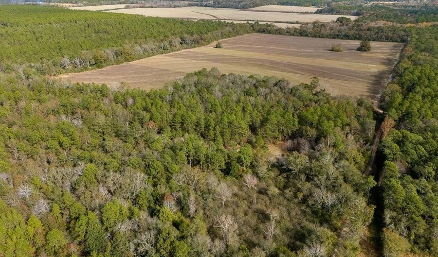 N Bob Brooks Road, Baker, FL 32531 - 0 Beds, 0 Bath