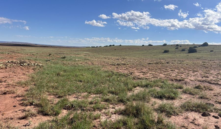 1342 County Road 5020, Concho, AZ 85924 - 0 Beds, 0 Bath