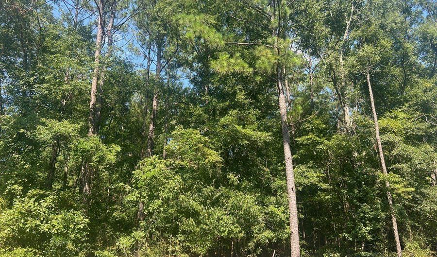 203 Pebble Cove Rd, Abbeville, AL 36310 - 0 Beds, 0 Bath