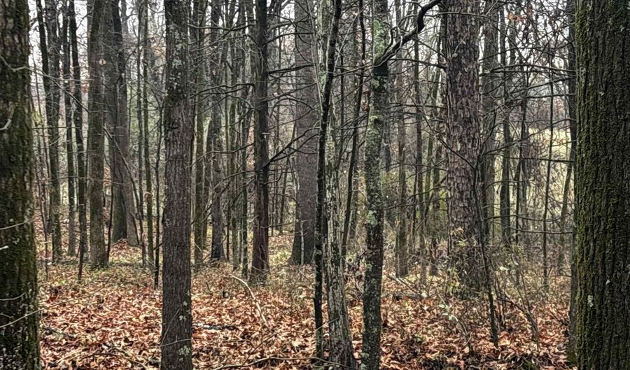67 Old Wire Rd, Atkins, AR 72823 - 0 Beds, 0 Bath