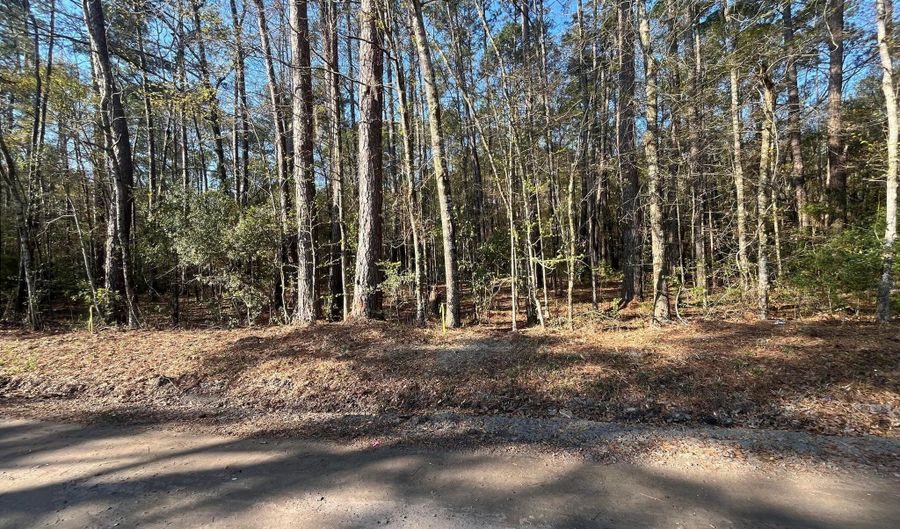 Lot 4b Old Military Rd, Adams Run, SC 29426 - 0 Beds, 0 Bath