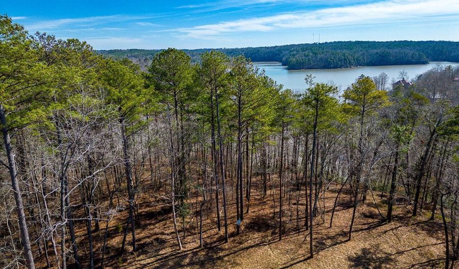LOT 1 WHITE OAK RIDGE, Arley, AL 35541 - 0 Beds, 0 Bath