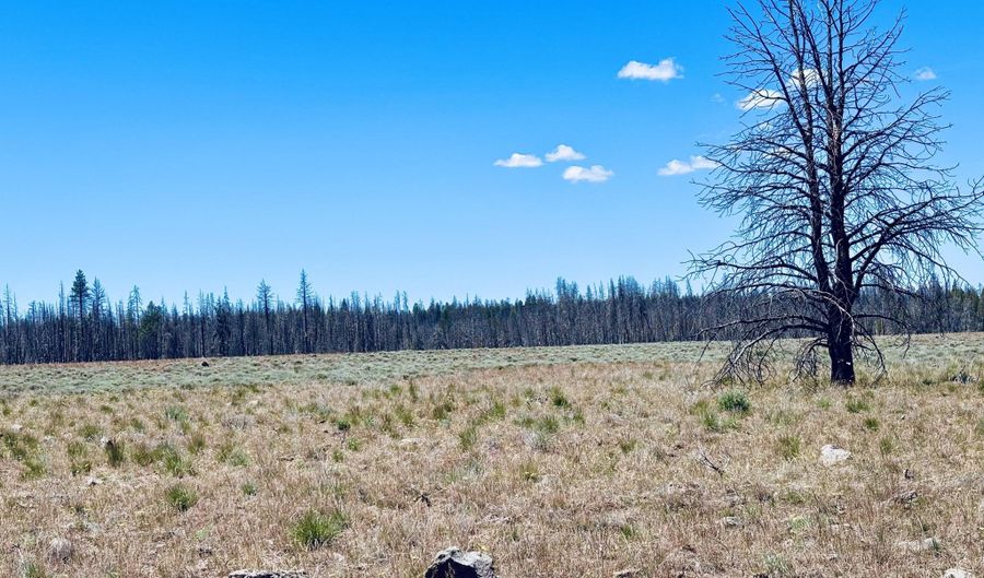 White Birch Lane lot 4, Bly, OR 97622 - 0 Beds, 0 Bath