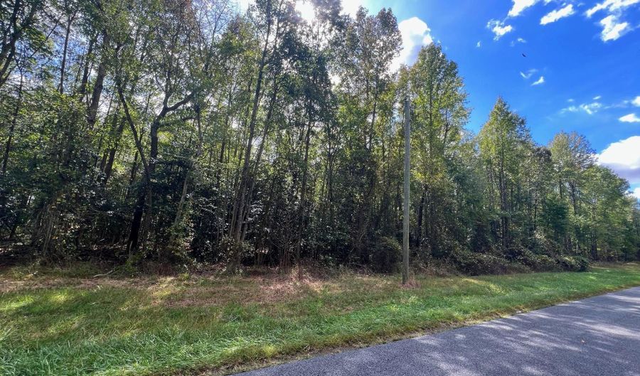 PINEPITCH Road, Harrington, DE 19952 - 0 Beds, 0 Bath