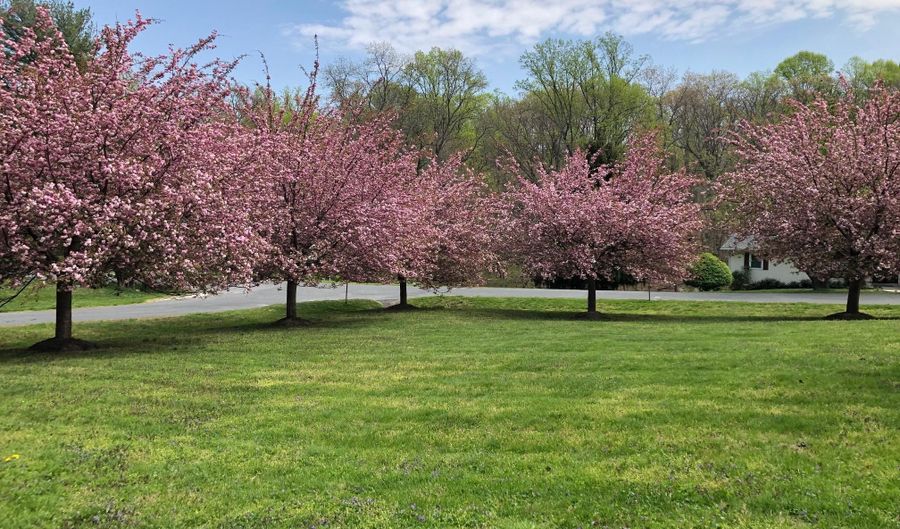 17724 TREE LAWN Dr, Ashton, MD 20861 - 4 Beds, 3 Bath
