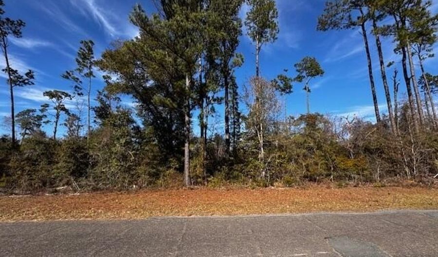 Lot 7 Blk 204 Vancouver Drive, Alford, FL 32420 - 0 Beds, 0 Bath