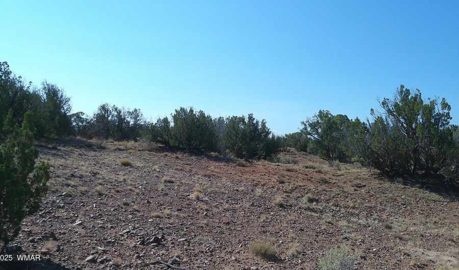 Tbd Wicked Sisters Way 38ac, Concho, AZ 85924 - 0 Beds, 0 Bath