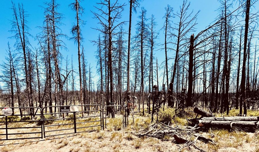 White Birch Lane lot 4, Bly, OR 97622 - 0 Beds, 0 Bath