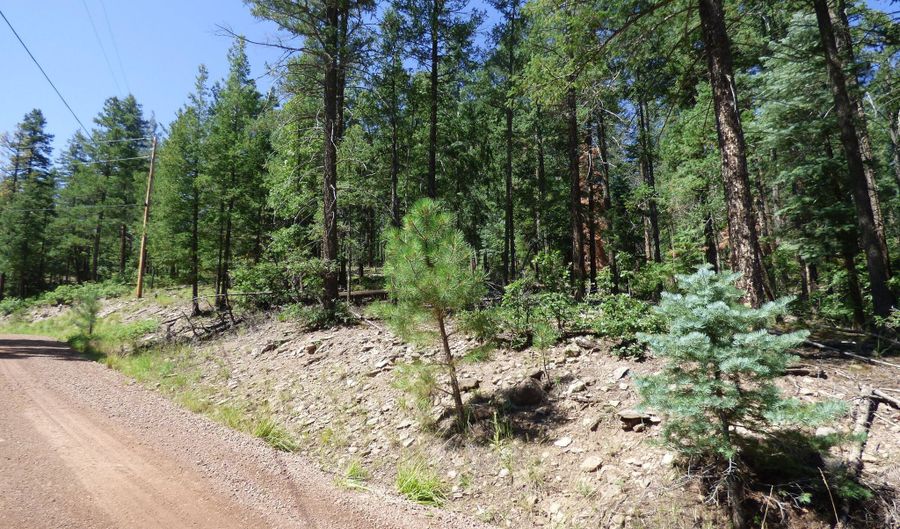 9 County Road 2073, Alpine, AZ 85920 - 0 Beds, 0 Bath