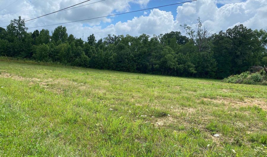 OLD MORRIS CHAPEL Rd, Adamsville, TN 38310 - 0 Beds, 0 Bath