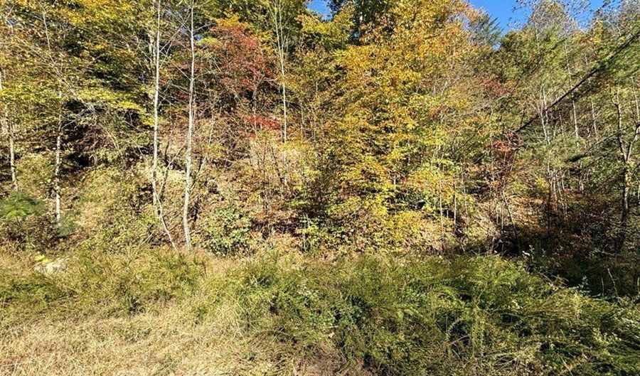 Kidd Fork, Banner, KY 41603 - 0 Beds, 0 Bath
