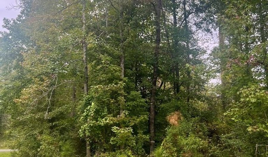 0 Douglas Dr, Abbeville, AL 36310 - 0 Beds, 0 Bath