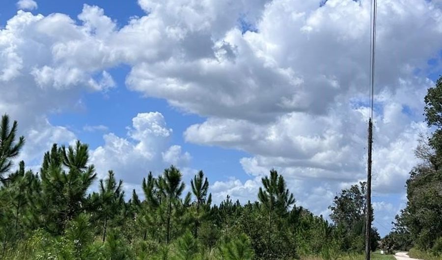 00 50th Ave, Bell, FL 32619 - 0 Beds, 0 Bath