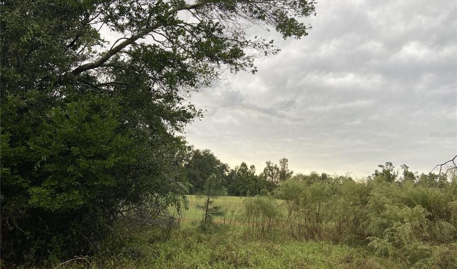 000 W CR RD1491 Rd, Alachua, FL 32615 - 0 Beds, 0 Bath