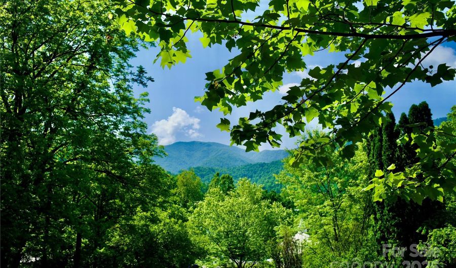 38 Buchanan Hill Rd, Bakersville, NC 28705 - 1 Beds, 1 Bath