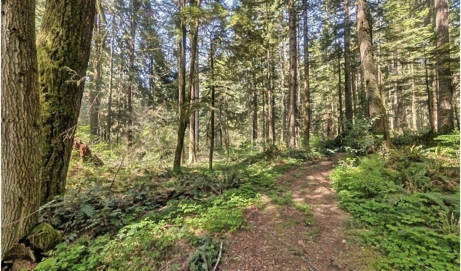 62955 E MOUNTAIN COUNTRY Ln, Brightwood, OR 97011 - 0 Beds, 0 Bath