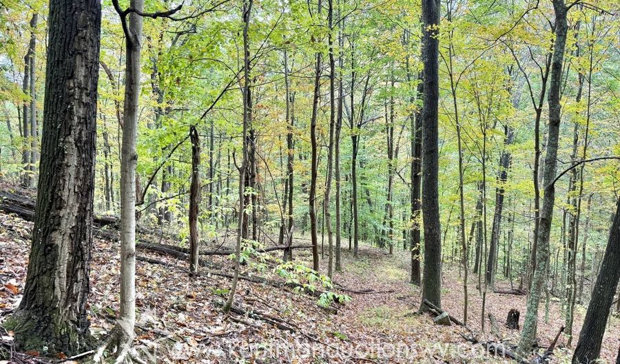 Jesse Run Rd, Arnoldsburg, WV 25234 - 0 Beds, 0 Bath