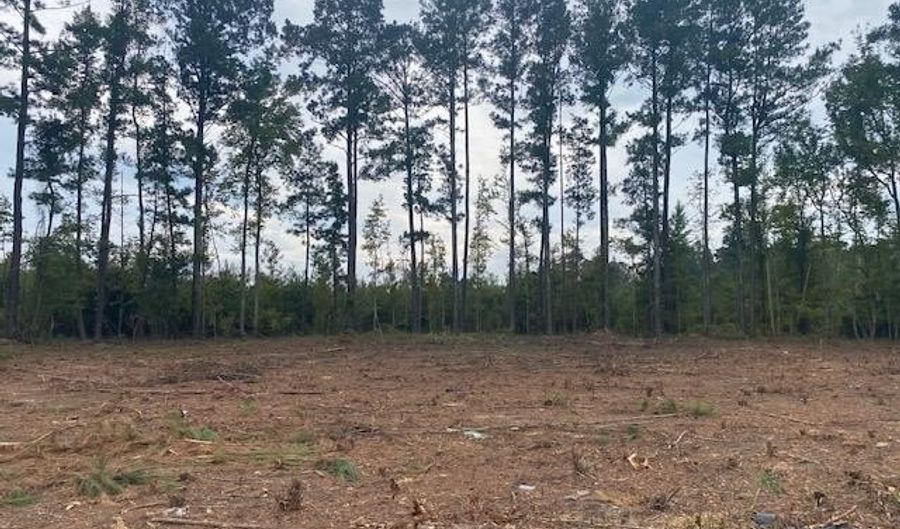 Lot 1-D Daniels Lane, Bennettsville, SC 29512 - 0 Beds, 0 Bath