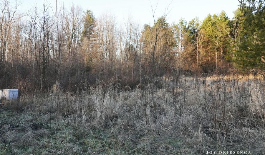 V/L Fawn Path Parcel A, Allegan, MI 49010 - 0 Beds, 0 Bath