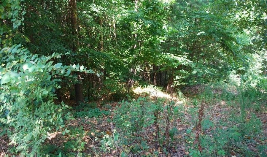 Lot 5 Neffwood LN, Bella Vista, AR 72715 - 0 Beds, 0 Bath