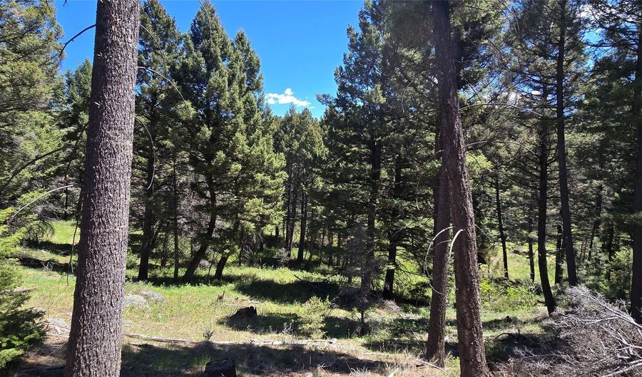 Powerline Road, Boulder, MT 59632 - 0 Beds, 0 Bath
