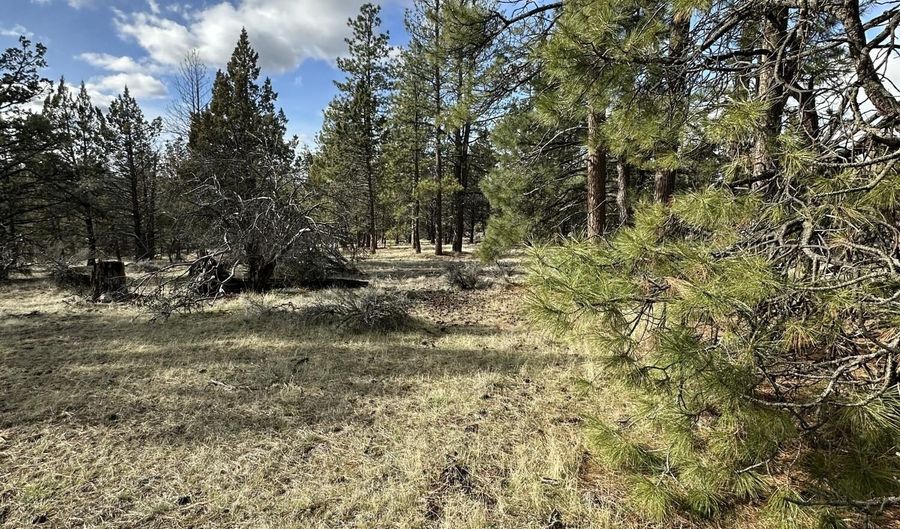 Widgeon Drive lot 3, Bonanza, OR 97623 - 0 Beds, 0 Bath