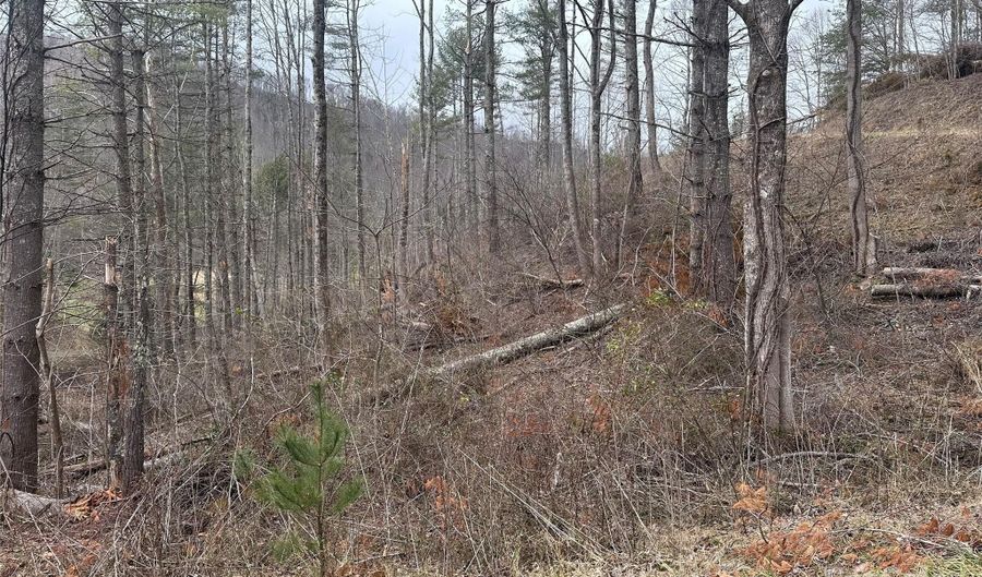 99999 Mountain Crest Dr, Bakersville, NC 28705 - 0 Beds, 0 Bath