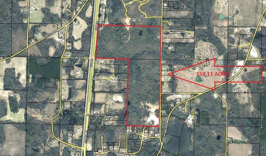 Hwy 231, Alford, FL 32420 - 0 Beds, 0 Bath