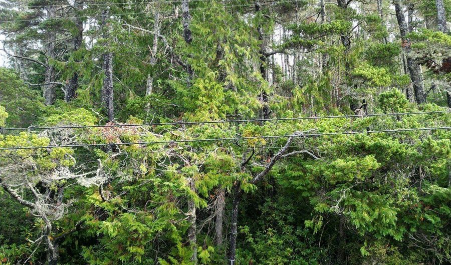 Prosper, Bandon, OR 97411 - 0 Beds, 0 Bath