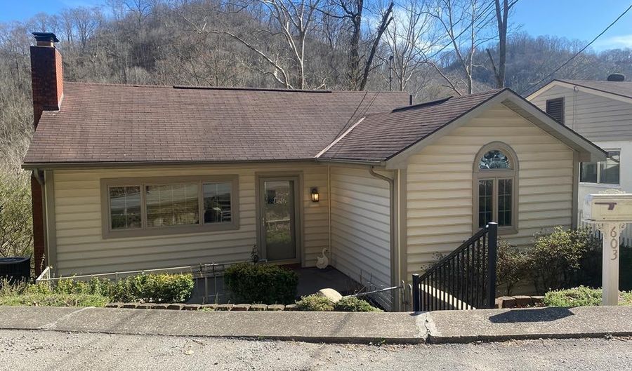 603 Mulberry, Williamson, WV 25661 - 5 Beds, 2 Bath