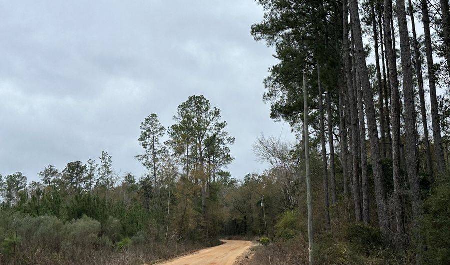Tract # 6411 S White Road, Chipley, FL 32428 - 0 Beds, 0 Bath