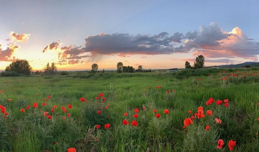 1745 CROOKED CREEK Rd, Alta, WY 83414 - 0 Beds, 0 Bath