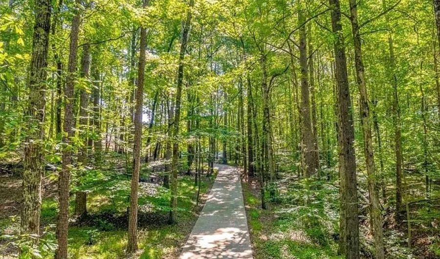 15905 Westbrook Rd, Alpharetta, GA 30004 - 7 Beds, 8 Bath