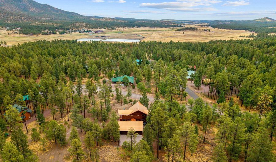 17 County Road 2195, Alpine, AZ 85920 - 4 Beds, 3 Bath