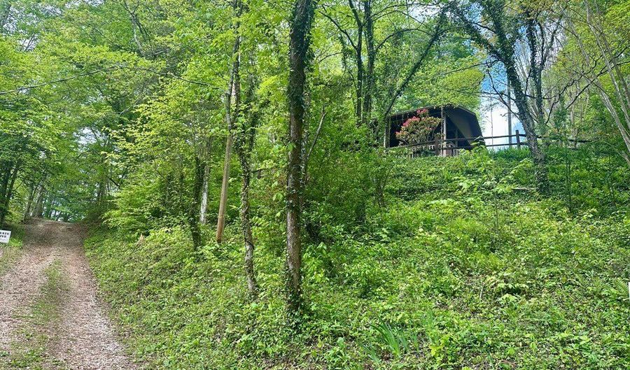 260 Prince Boat Dock Rd, Almond, NC 28702 - 0 Beds, 0 Bath