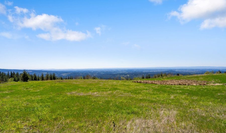0000 NE Alvas Rd, Battle Ground, WA 98604 - 0 Beds, 0 Bath