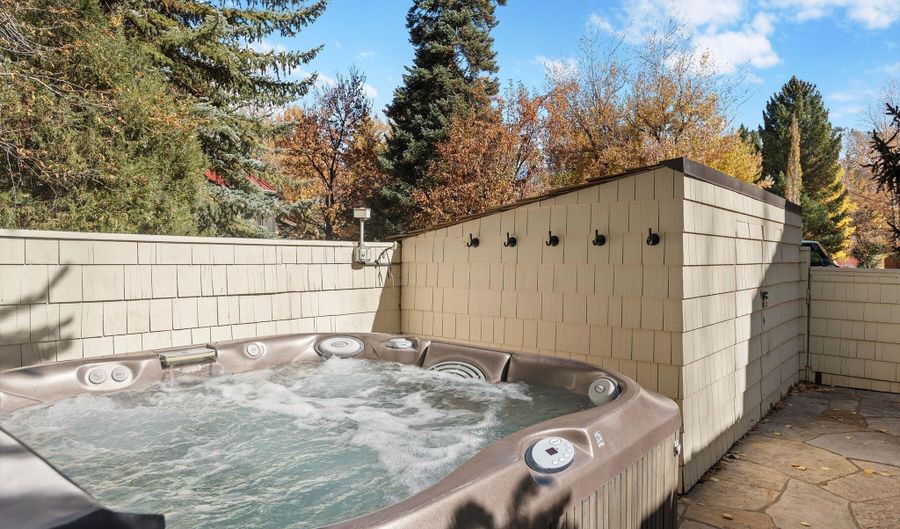 602 W Hallam St, Aspen, CO 81611 - 6 Beds, null Bath