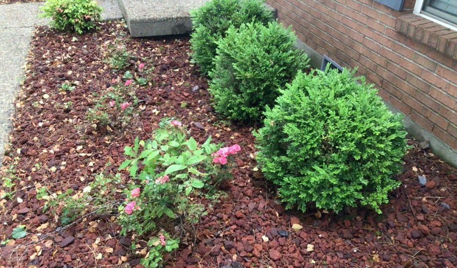 1117 Breezy Way, Bardstown, KY 40004 - 3 Beds, 2 Bath