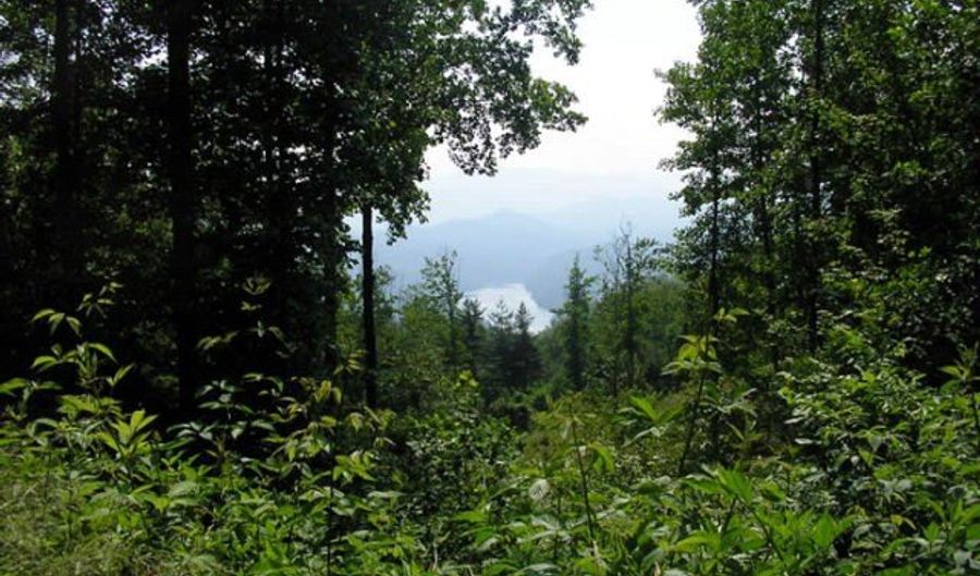 Fontana Trace Drive lot 38, Almond, NC 28702 - 0 Beds, 0 Bath