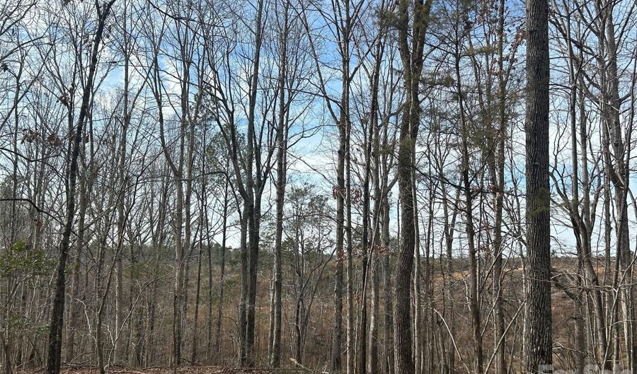 33 Ac Lot A Countryside Dr, Blackstock, SC 29014 - 0 Beds, 0 Bath