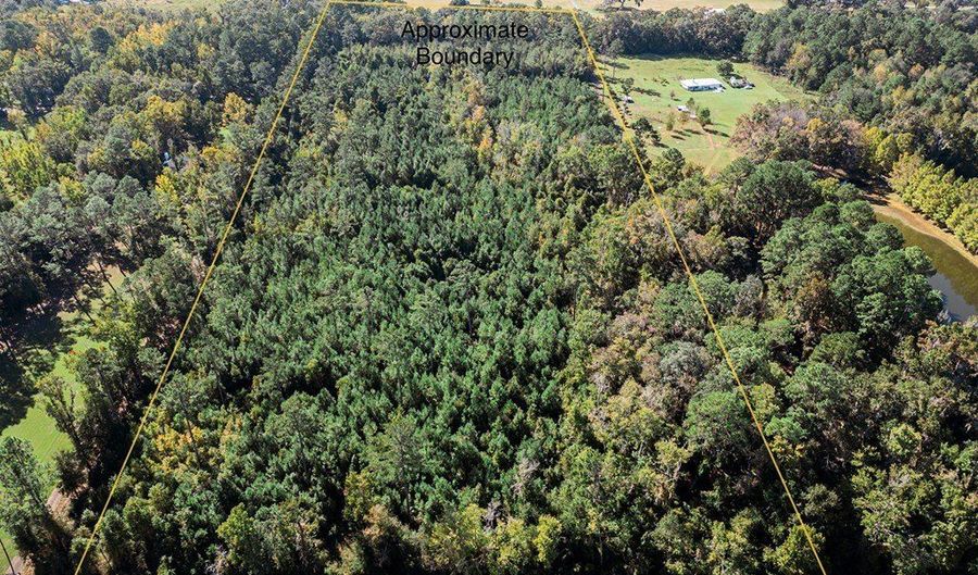 TBD State Rd 121, Alachua, FL 32615 - 0 Beds, 0 Bath