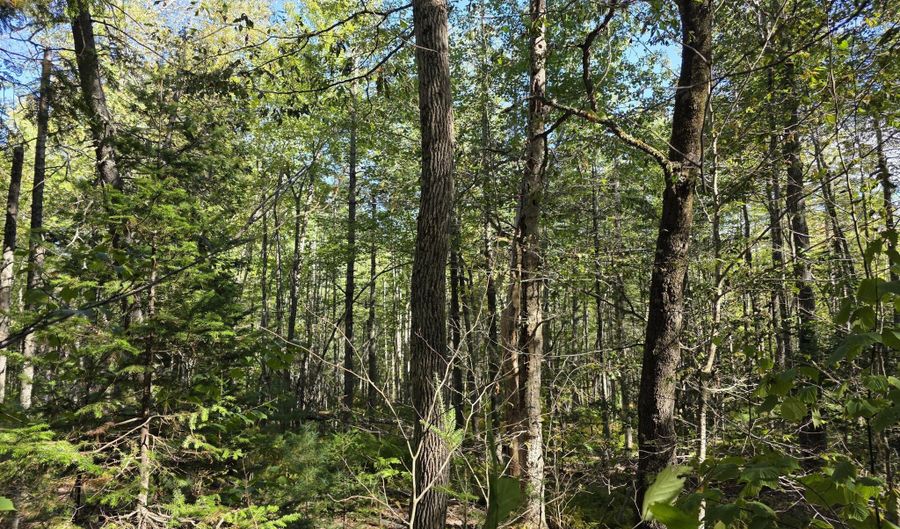 Back Searsport Road, Belfast, ME 04915 - 0 Beds, 0 Bath