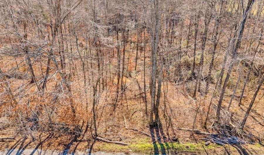James Reeder Ln, Allons, TN 38541 - 0 Beds, 0 Bath
