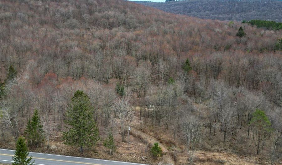 State Highway 28, Andes, NY 13731 - 0 Beds, 0 Bath