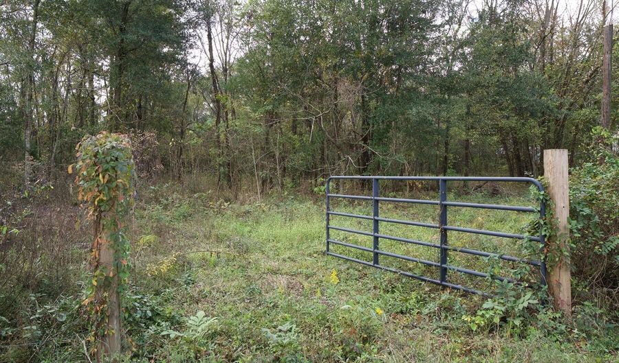 1864 Bushville Hwy Lot 14, Arnaudville, LA 70512 - 0 Beds, 0 Bath