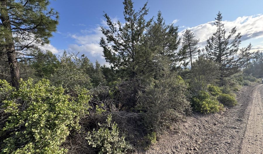 Grizzly Lane 14, Bonanza, OR 97623 - 0 Beds, 0 Bath