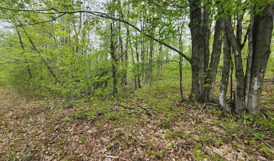 Valleyridge Circle, Alba, MI 49611 - 0 Beds, 0 Bath