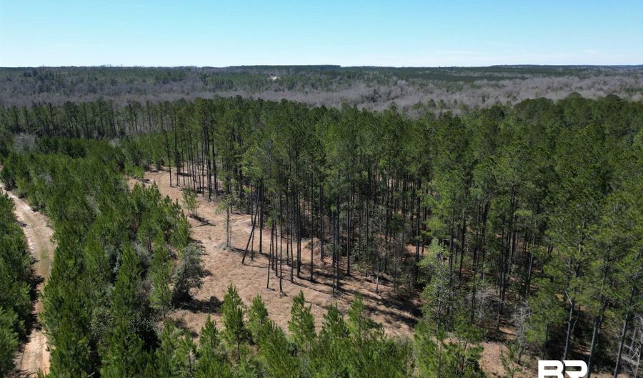 Robinsonville Road, Atmore, AL 36502 - 0 Beds, 0 Bath
