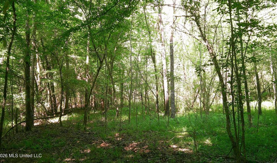 Pleasant Hills Road, Amory, MS 38821 - 0 Beds, 0 Bath